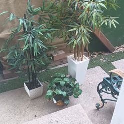 Set Of 2 Bamboo And 1 Plant Artificial.