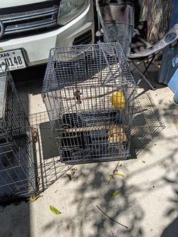 Parrot cage