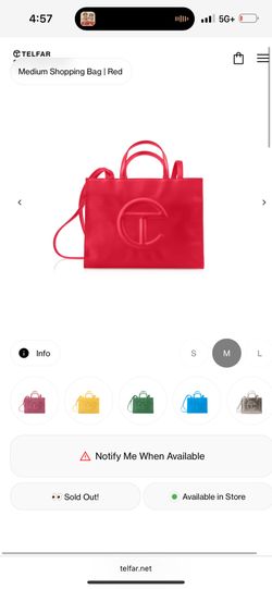 SOLD OUT TELFAR BAG FOR SALE!
