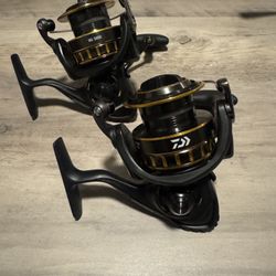 Brand New Daiwa BG 3000 Salt Water Fishing Reel. 