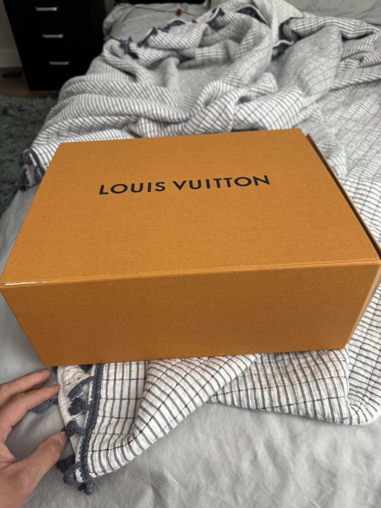 Louis Vuitton Men’s Shoes