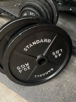 Rep Fitness Olympic Iron Plate 45 LBS Pair