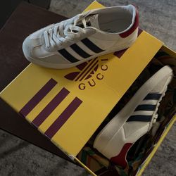 Adidas Gucci Gazelle