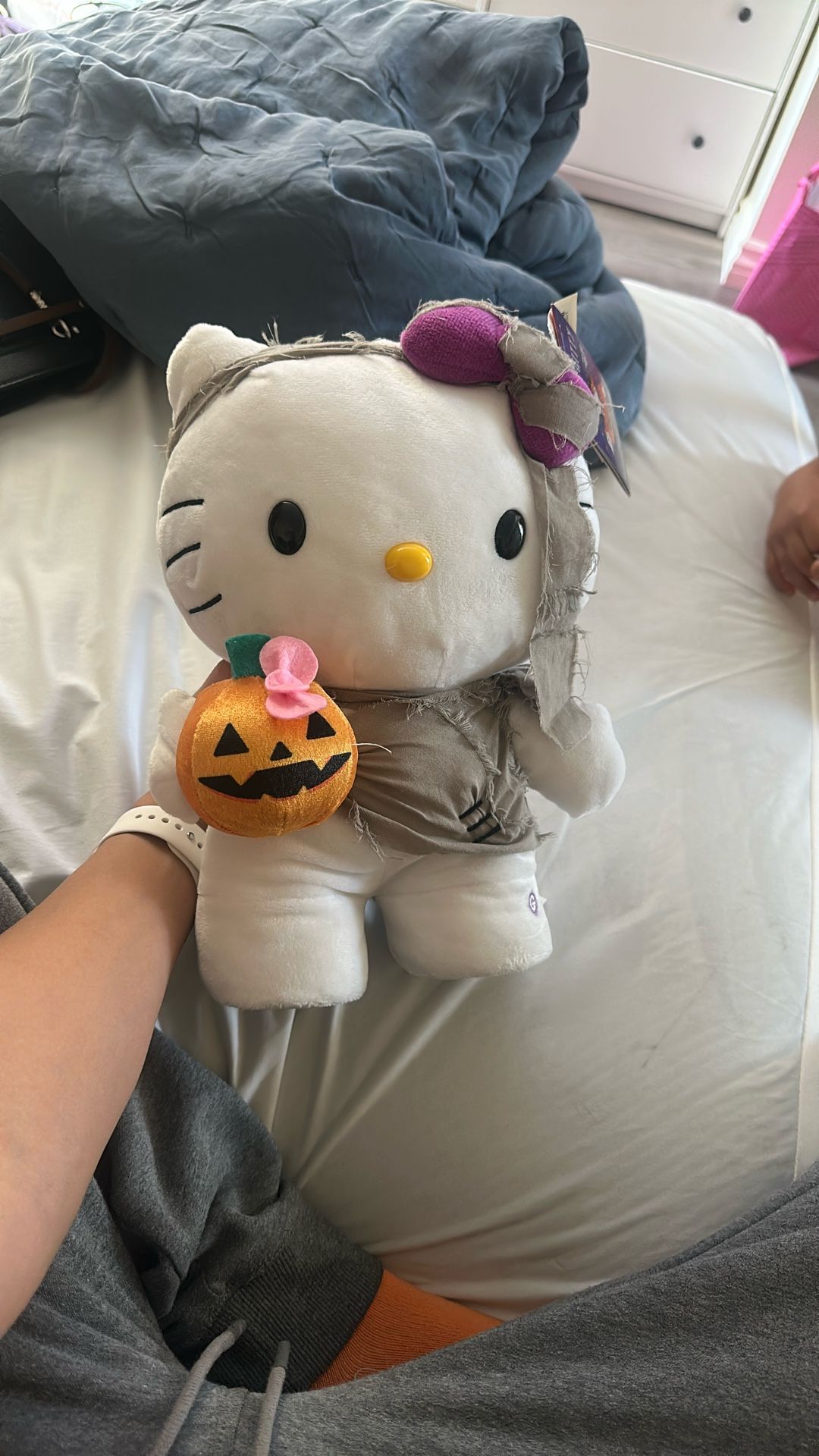 Hello Kitty Stepper