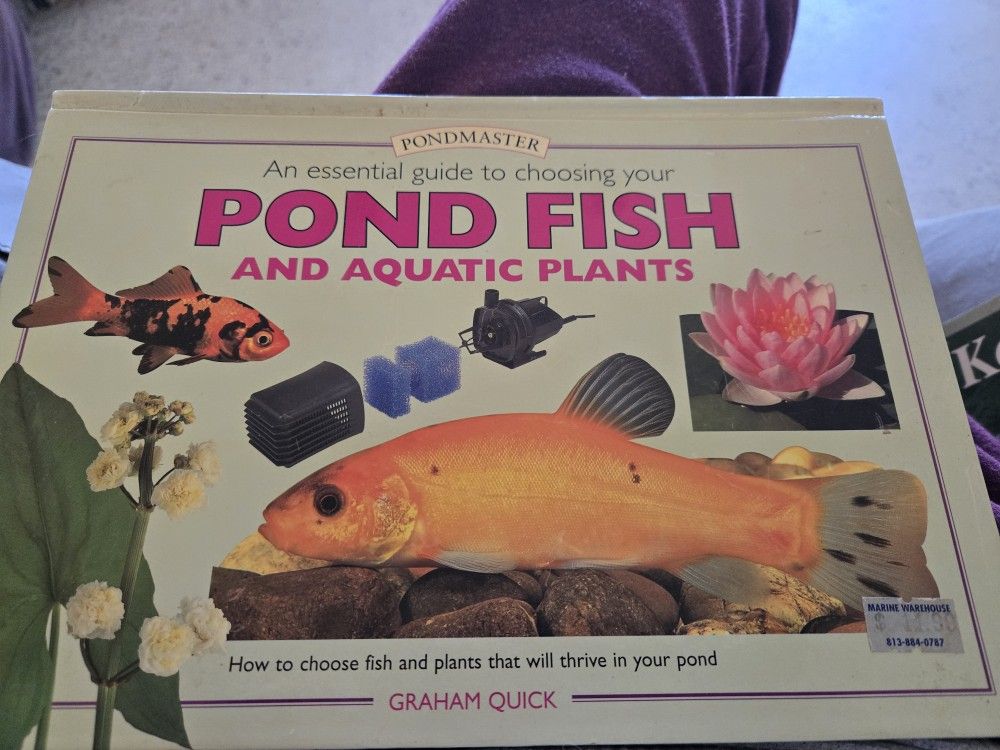 Pond Fish$8.00
