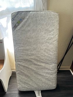 Free toddler/crib mattress