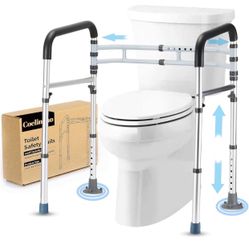 Toilet Safety Rails 