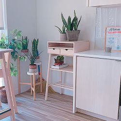 Ikea Standing Desk & Plant Stand
