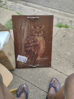 Owl Cover Board