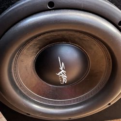 Skar Audio DDX 10” Subwoofer No Box 