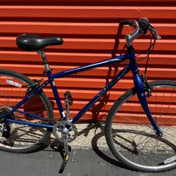 12 pound iron hex dumbbells / 24 pounds Total 