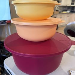 Aloha Tupperware Set