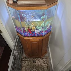 20 GALLON FISH TANK + EVERYTHING YOU WILL NEED