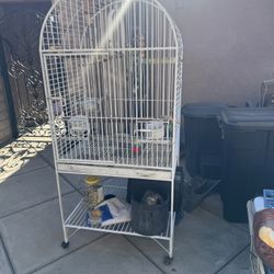 Parrot Cage