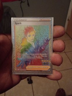 Trainer spark