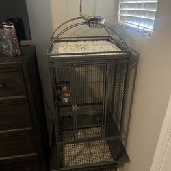 A&E Top Play Bird Cage 