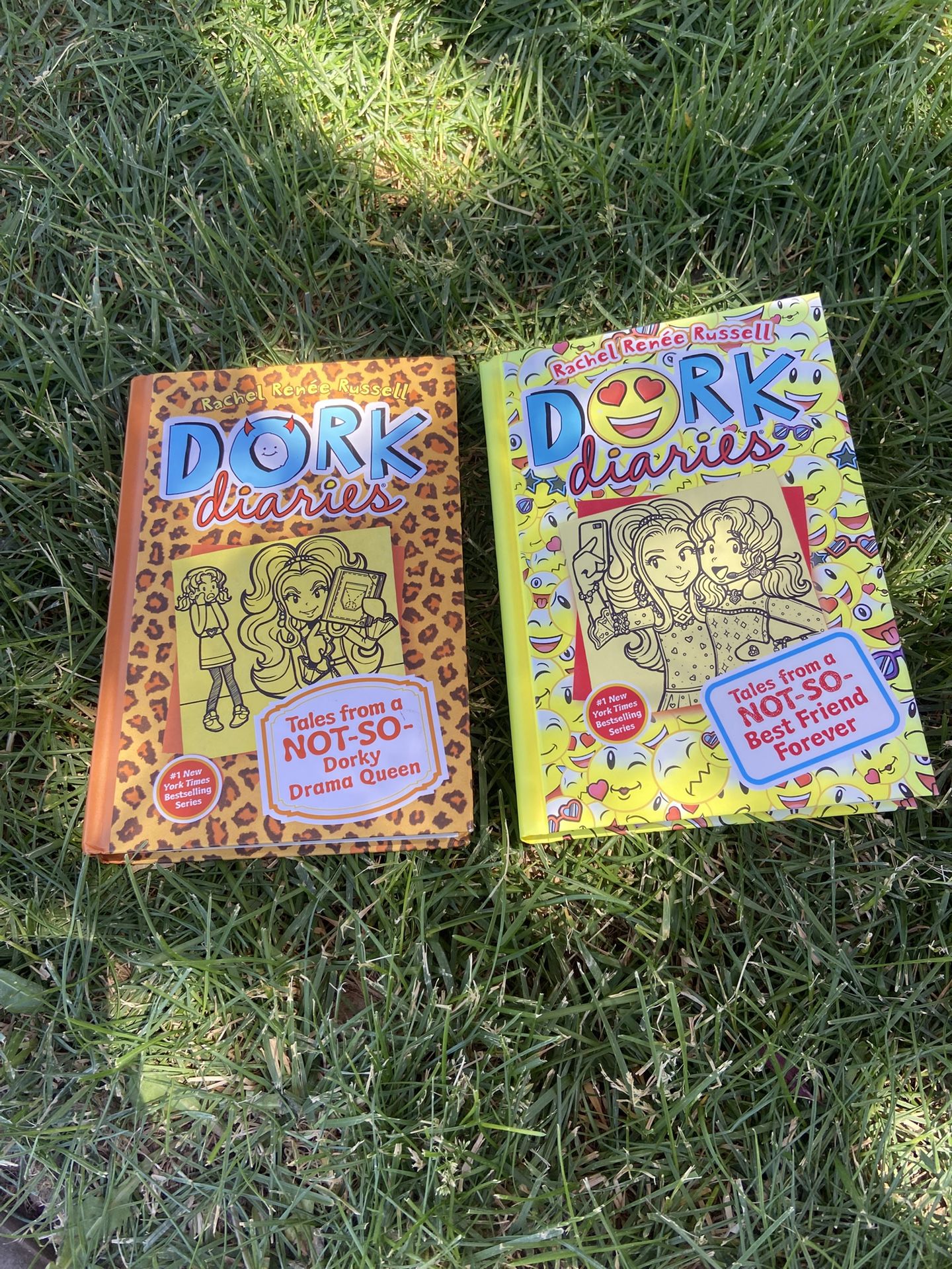 Dork Diaries