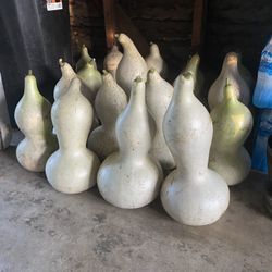 Mexican Water Jugs/ Bules Para Agua