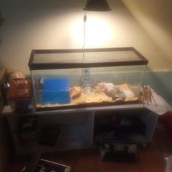 75-90 Gallon Tank
