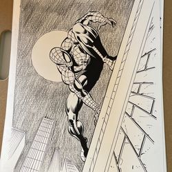 Spider-Man Black And White Original   By ralph cabrera 