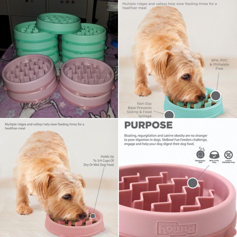 Outward Hound Fun Feeder Slo Bowl, Slow Feeder Dog  Or Cat Bowl, Small/Tiny - Mint Or Pink