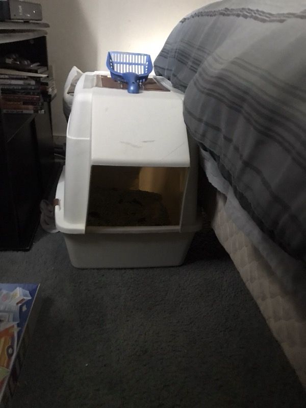 cat litter box