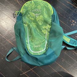 OSPREY DAYLITE KIDS EVERYDAY BACKPACK 4 interest-free payments of $6.00. Learn More