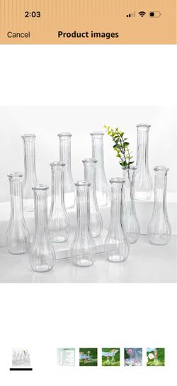 12 Pcs Clear Ribbed Glass Bud Vases for Centerpiece 8.5 Inch Small Flower Vases Bulk for Centerpieces Home Decor Parties DIY Arrangements Roses