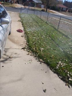 Mañana andare soplando esprincas el mombelo greeinvalle y aurora kien kiere