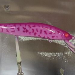 Custom Jerkbait