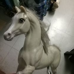 Horse 🐴