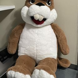 Buc-ee’s Plush Stuffed Animal 28” And Cooler Bag