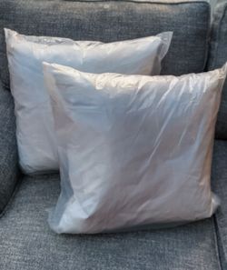 New Pottery Barn 20 x 20 feather down pillow insert. Two available.