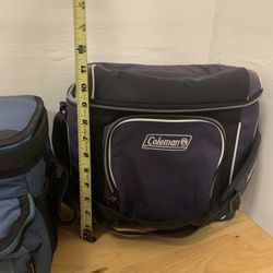 Hardshell cooler bag over the shoulder