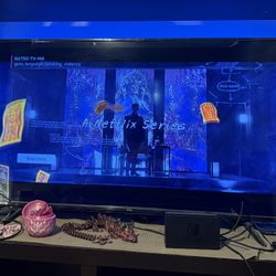 TLC TV 55 