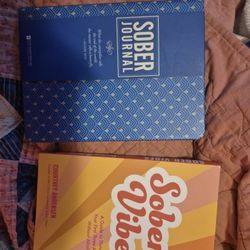 Sober Journal And Book