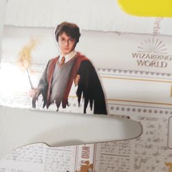 Harry Potter Hooded Robe 