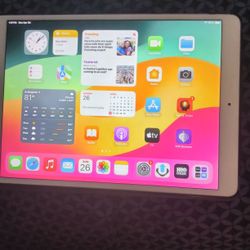 i Pad Pro OS 17.7.10