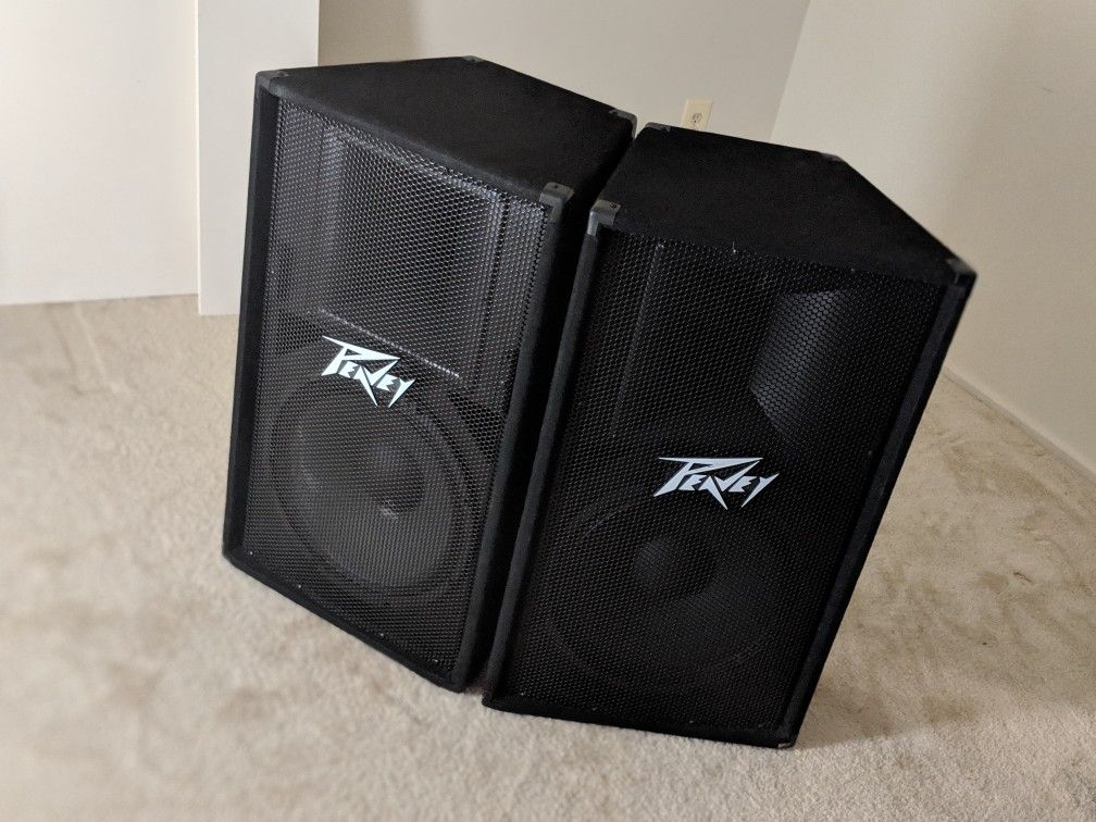 Peavey PV 115 2-Way Pro DJ Live Sound Speaker System