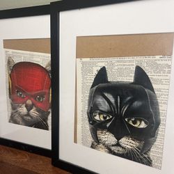 Cat Comic Photos 