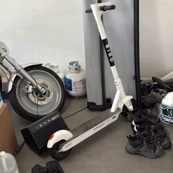 Bird one scooter