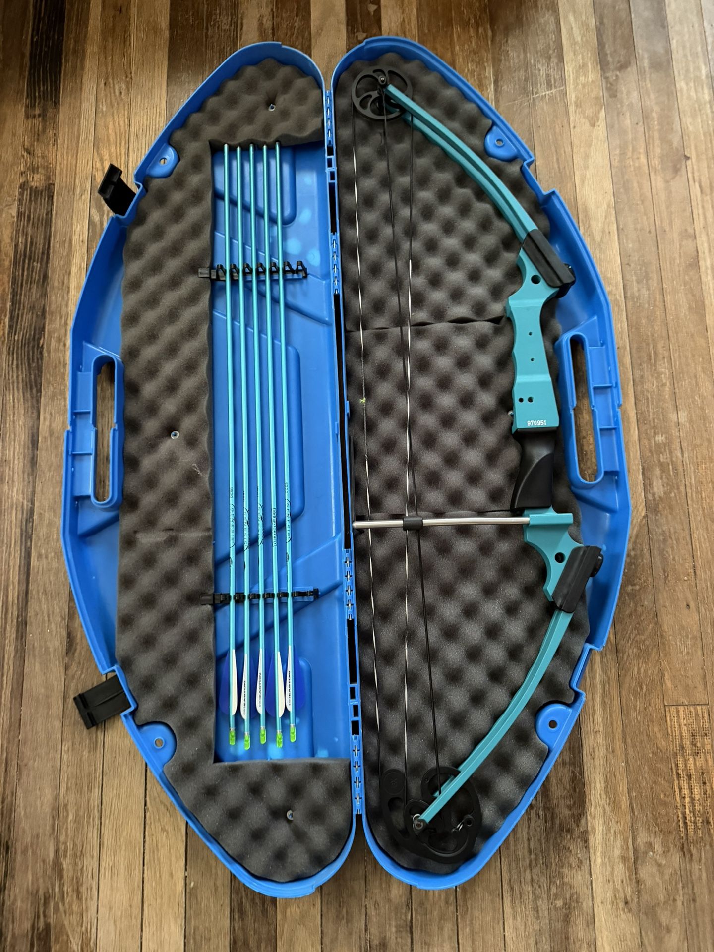 Genesis Bow, Arrows, With Case And Targets