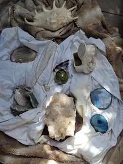 Crystal, Geode, Agate & Shell Collection Lot