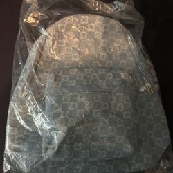 Baby Blue Jordan Backpack 
