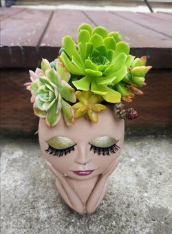 Succulents arrangement in a cute girl planter