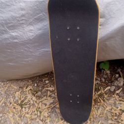 Skateboard 