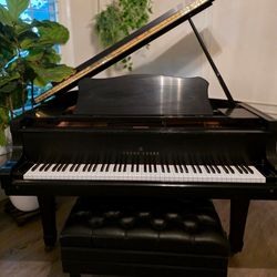 1990's Young Chang Baby Grand Piano 5'2