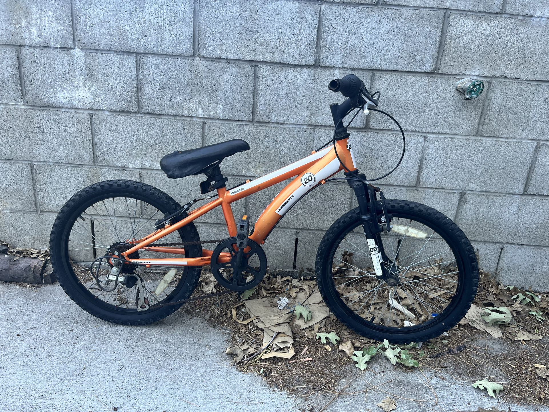 Kids Diamondback Bike