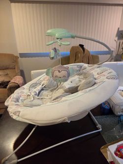 Baby bouncer