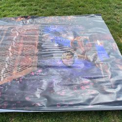 Cinderella Backdrop For Events. Stand Not Included. 